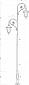 Чугунный фонарный столб Царскосельский 2/2 в наличии и на заказ от компании-производителя АТТЕС, фото №3