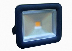 Прожектор светодиодный Полюс 6 LED 20 W фото